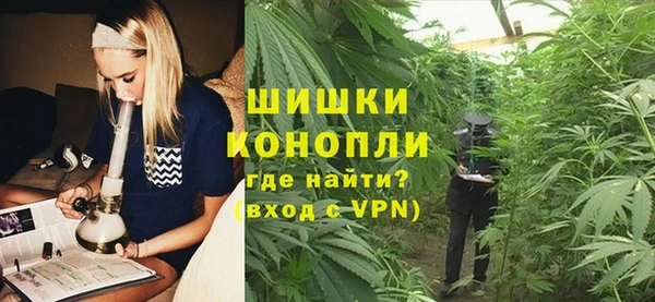 шишки Лиски