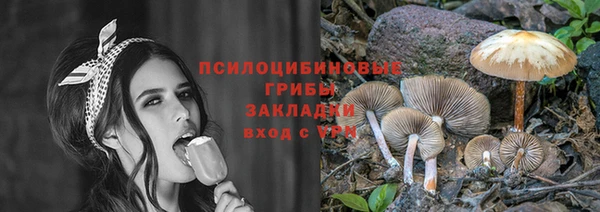 шишки Лиски