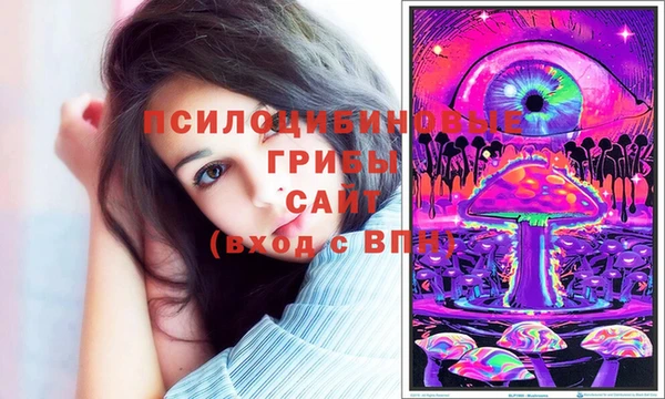 сатива Липки