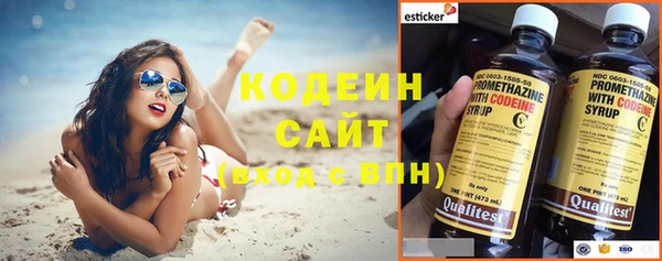 сатива Липки
