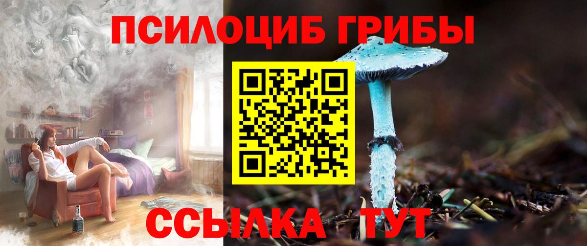 Псилоцибиновые грибы GOLDEN TEACHER  Вход с VPN  Черкесск  Галлюциногенные грибы ЛСД 