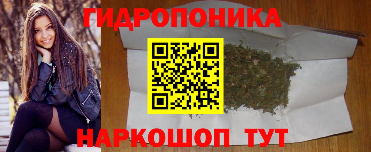Черкесск  Каннабис семена  Марихуана White Widow  Каннабис план  Конопля тримм  Вход с VPN 